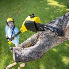 Pest Control for Lawns in Reliez Valley, CA