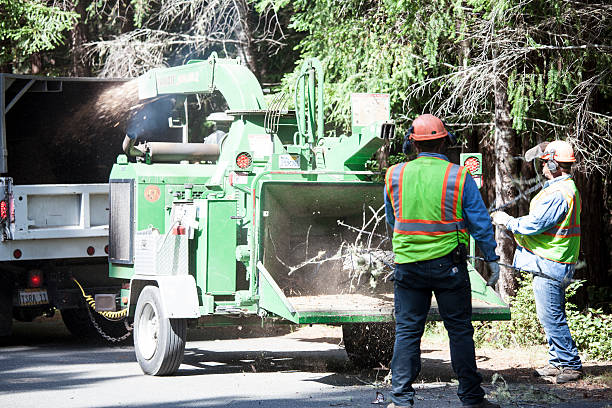 Soil Testing and Treatment in Reliez Valley, CA