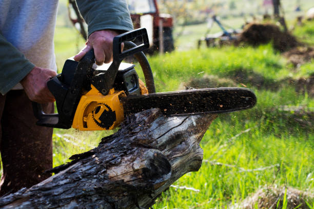 Best Lawn Mowing  in Reliez Valley, CA